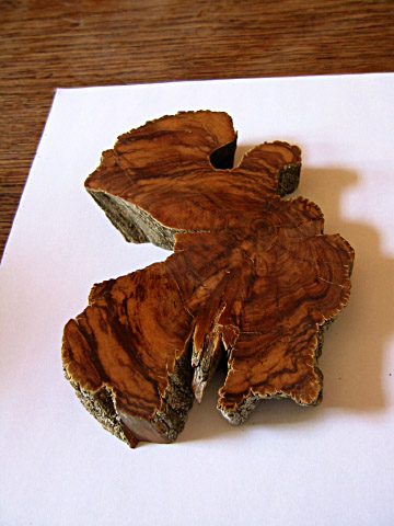 Un morceau de bois vieux de 400 ans