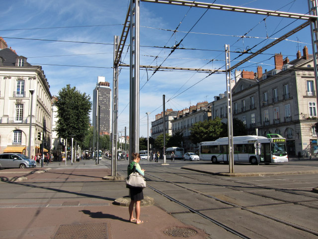 Les rails du tramway