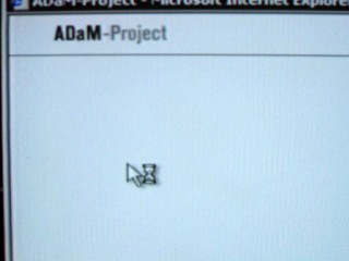 Je travaille sur ADaM