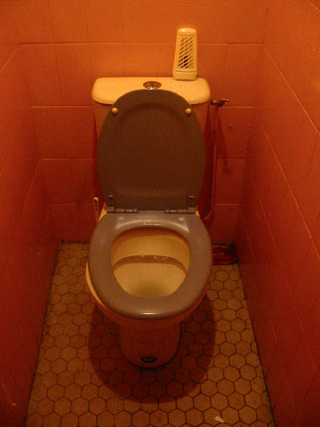 Je vais aux toilettes