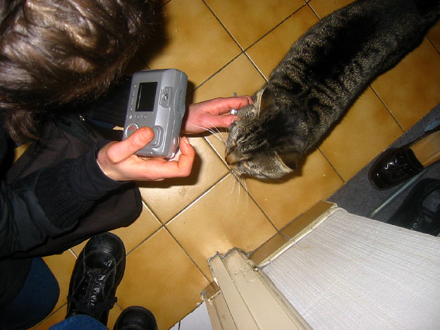 Sabine essaye de photographier son chat
