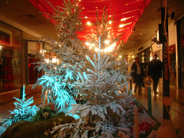 C'est noël