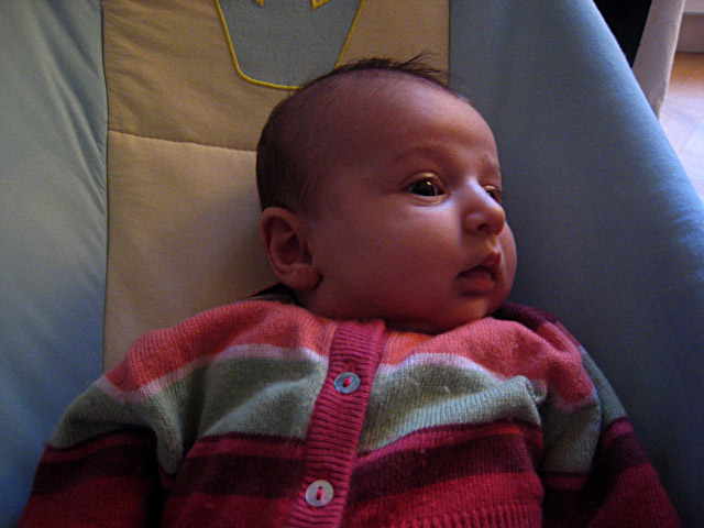 Sybille