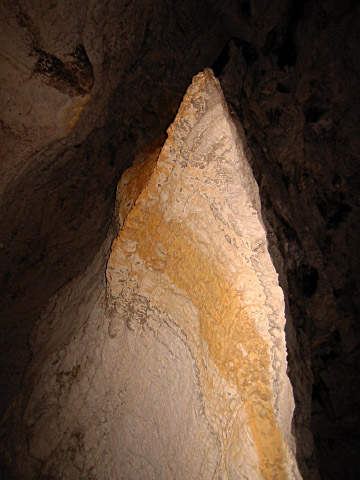 La plafond