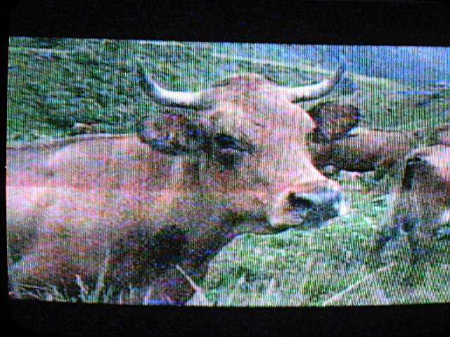 Soirée télé
