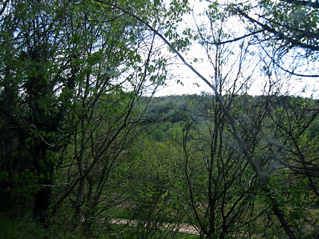 Le paysage