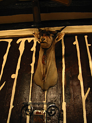 Un animal empaillé