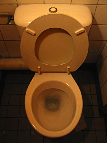 Je vais aux toilettes