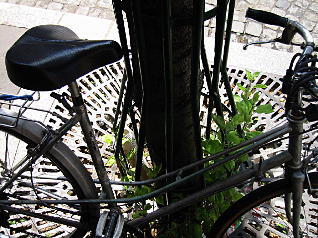 Je gare mon vélo