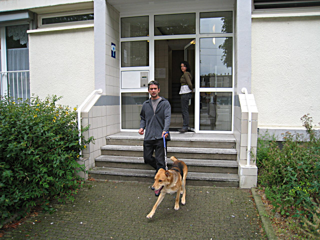 Christopher a du mal à tenir son chien