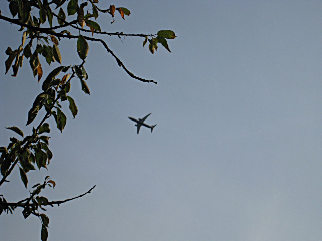 Un avion passe au dessus de nous