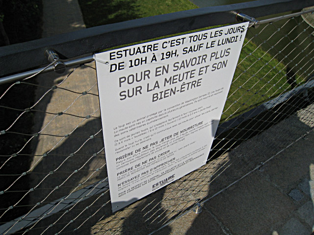 Des loups sont présents dans les douves