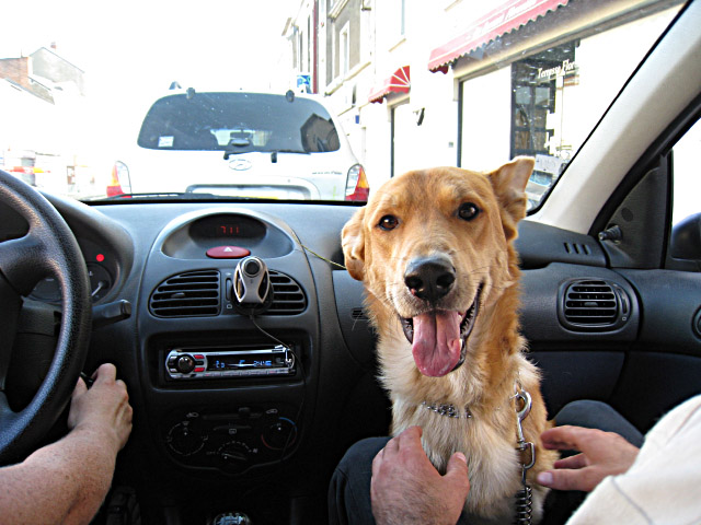 Cristopher récupère son chien