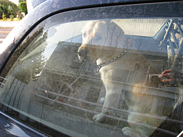 Je monte dans la voiture de Jérémy