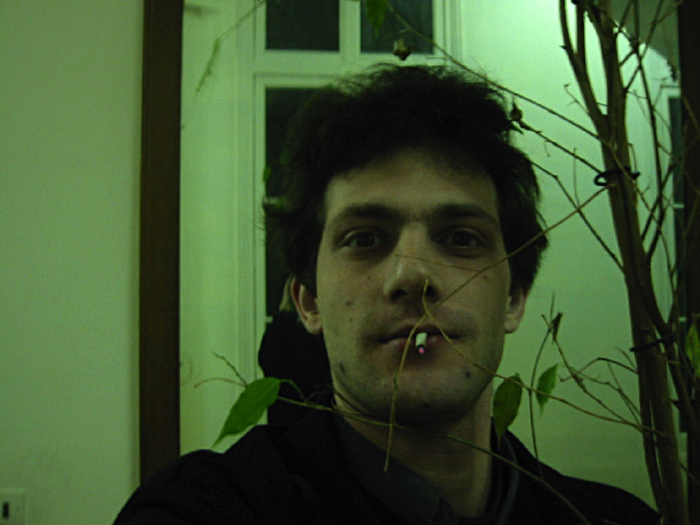 Nous descendons les poubelles. Je m'occupe d'une plante