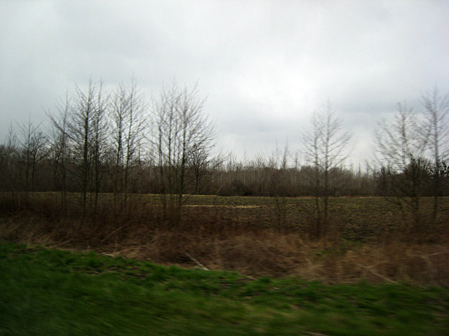 La voiture roule