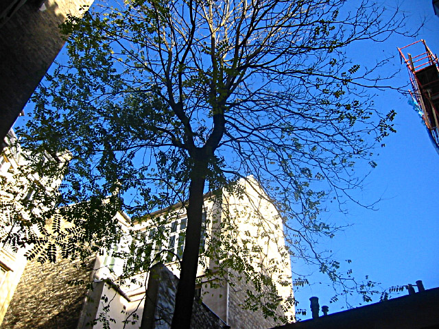 Jeudi matin