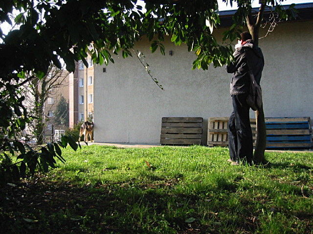 Nous ressortons. Edouard filme le chien de M. T
