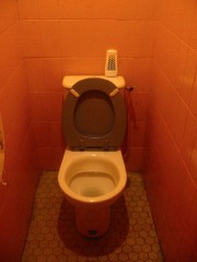 Je vais aux toilettes