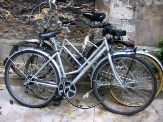 Nos vélos