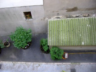 La cour
