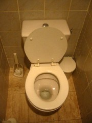 Je vais aux toilettes