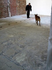 Il joue avec son chien