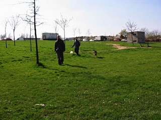 Nous cherchons un endroit pour faire des photos du chien