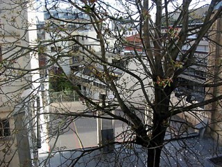 Dimanche matin