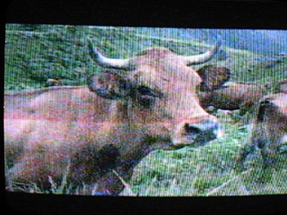 Soirée télé