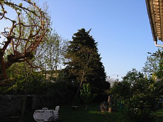 Je fais un tour dans le jardin