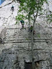 La falaise