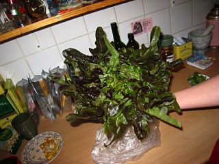 De la salade