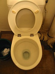 Je vais aux toilettes
