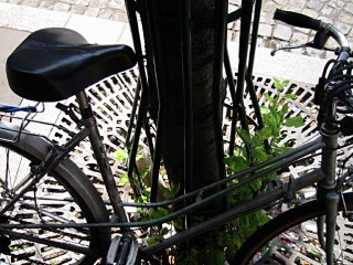 Je gare mon vélo