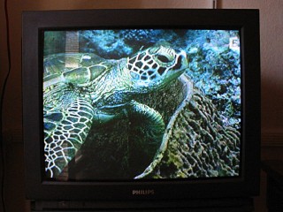 Je regarde un documentaire animalier