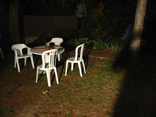 Le jardin
