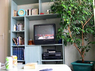 Je regarde une merde à la télé