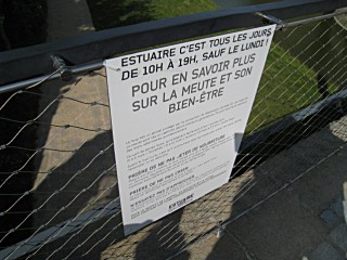Des loups sont présents dans les douves