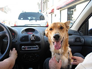 Cristopher récupère son chien