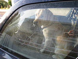 Je monte dans la voiture de Jérémy