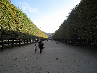 Le Jardin du Palais Royal