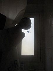 Lundi matin. Je pars de chez Sabine