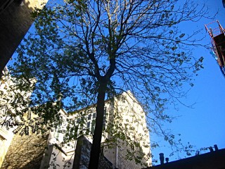 Jeudi matin