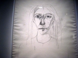 Il y a aussi des dessins