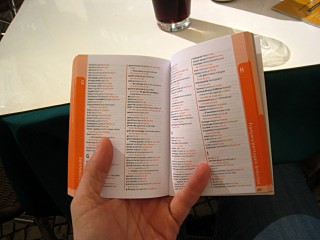 Je lis le guide de portugais