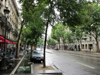 La pluie s'est arrêtée. Nous marchons