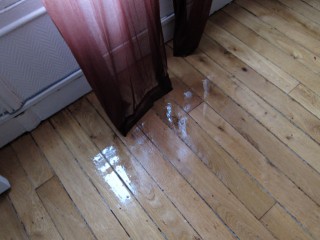 Je rentre chez moi. J'avais laissé les fenêtres ouvertes