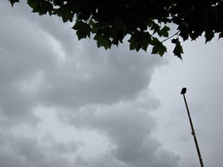 Je guette la fin de l'averse